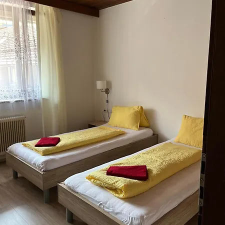Steiner, 6143 Matrei Am Brenner, Brennerstr 18b!check-in Between 15 - 21 O'clock!! No Breakfast Διαμέρισμα Muhlbachl